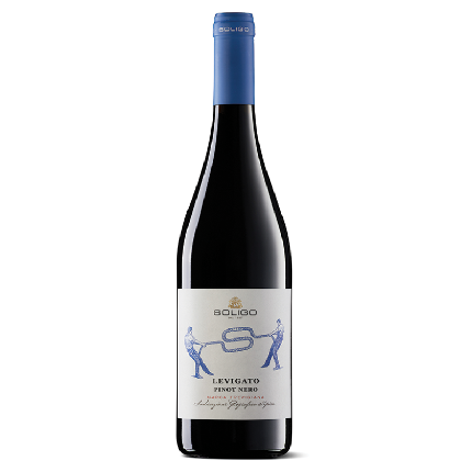 PINOT NERO MARCA TREVIGIANA IGT LEVIGATO